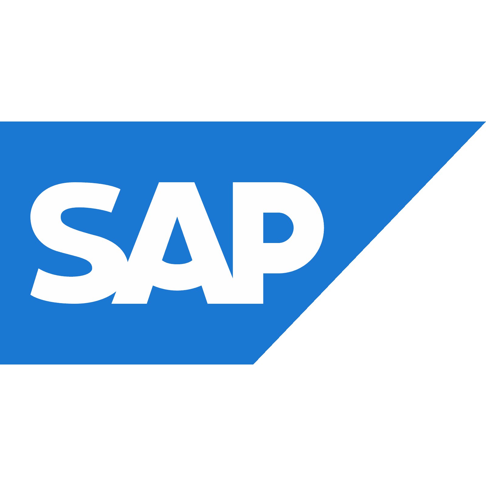 Сотрудничество Армена Манукяна с компанией SAP